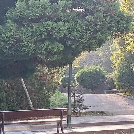 Casa Navarro Βίγκο