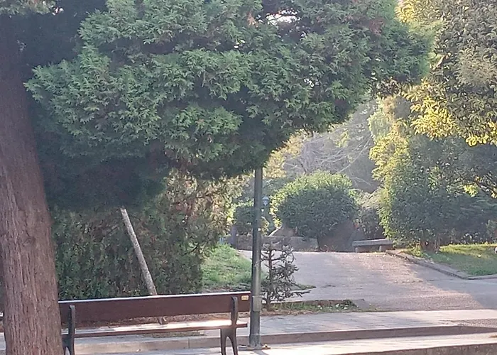 Casa Navarro Βίγκο